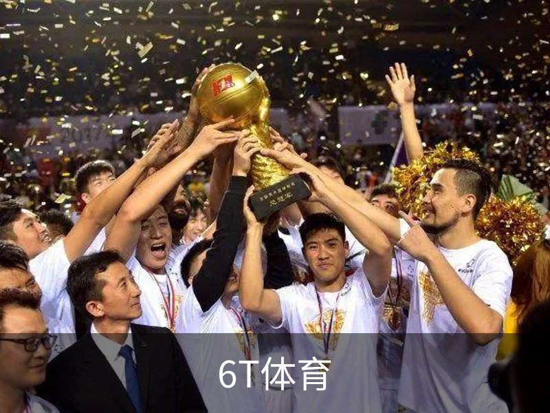 了解6T体育